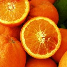 Citrus sinensis  'Maltaise demi sanguine'
